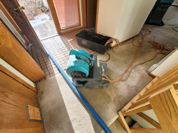 Best Sewage cleanup and water damage restoration  in Fairfield, CA