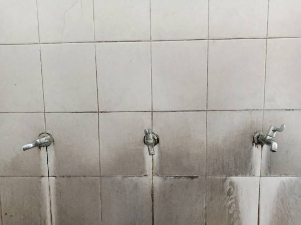 Best Carpet water damage restoration  in Fairfield, CA