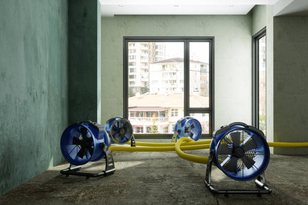 Best Water damage cleanup near me  in Fairfield, CA